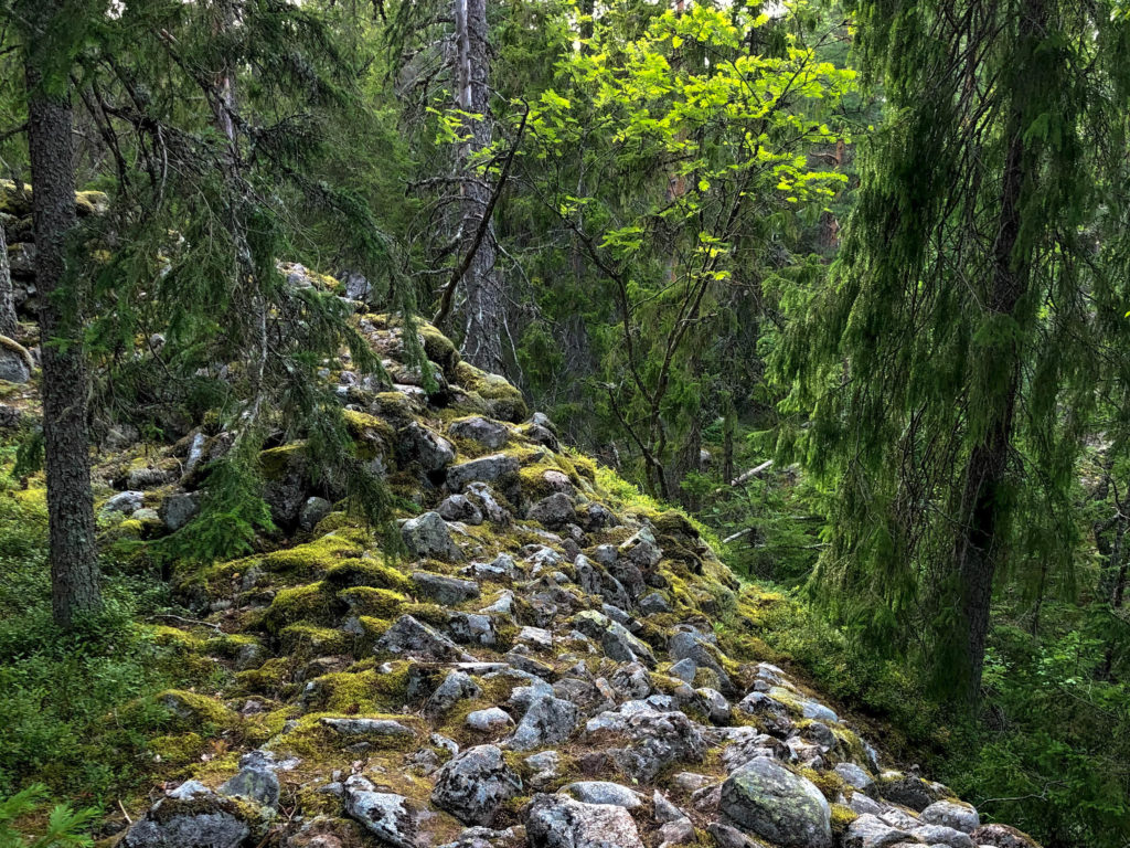 An Iron Age hill fort wall in Tyresta National Park